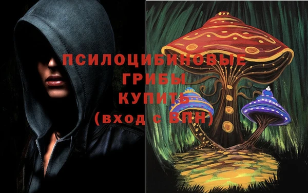 герыч Ладушкин