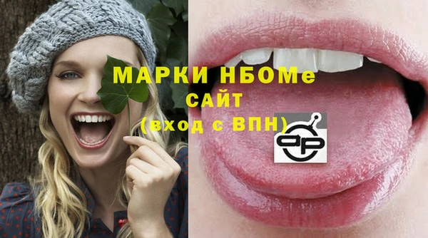 хмурый Лагань