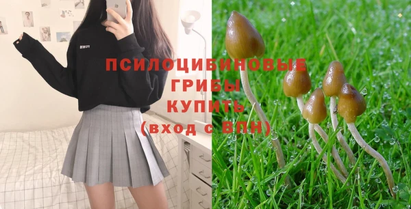 альфа пвп Липки
