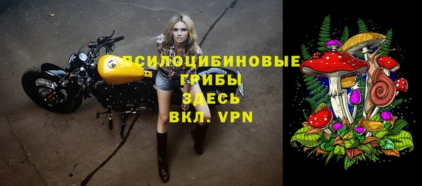 герыч Ладушкин