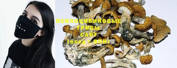 метадон Лабытнанги
