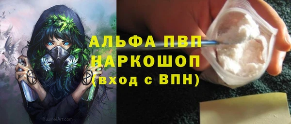 хмурый Лагань