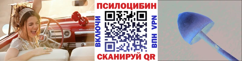Купить  Кудымкар  Псилоцибиновые грибы ЛСД 
